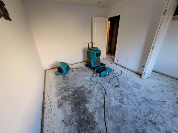 Best Flood damage cleanup  in Dundee, OR