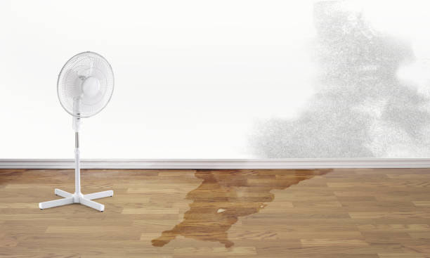 Best 24-hour water damage restoration  in Dundee, OR