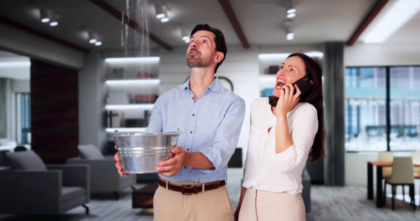 Best Mold removal after water damage  in Dundee, OR