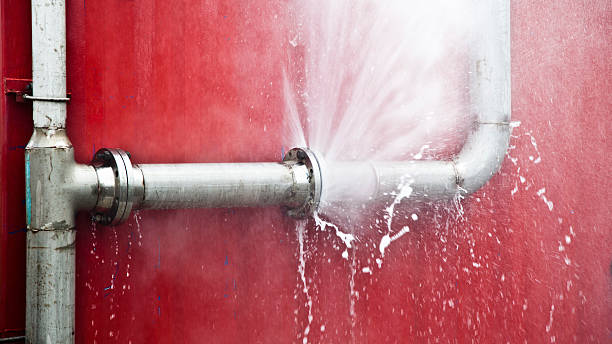 Best 24/7 water damage repair  in Dundee, OR